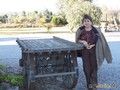 Wool Shed   Mudgee