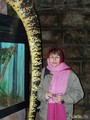 , Reptile Park