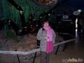 , Reptile Park