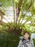 , , Royal Botanic Garden, Fern Garden ( )