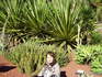 , , Royal Botanic Garden,  