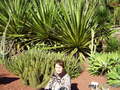 , , Royal Botanic Garden,  