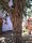 Дерево счастья (Индия, Говардхан)