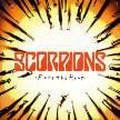 Scorpions -  .