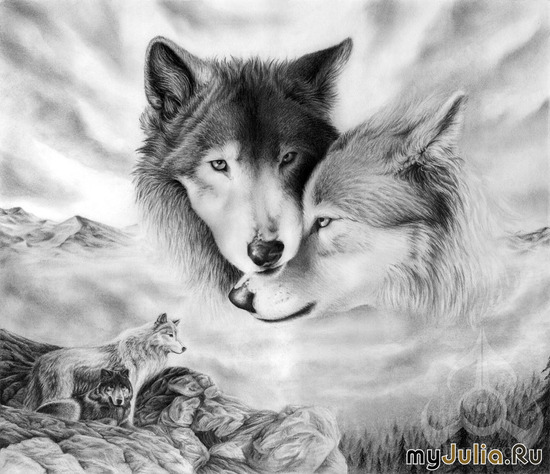 two white wolfs