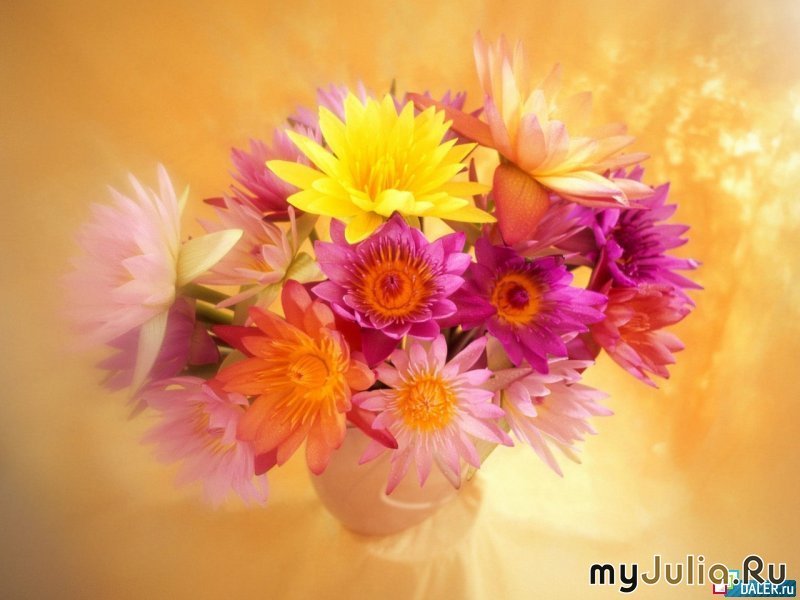 http://www.myjulia.ru/data/cache/2009/08/08/168905_6190-800x600.jpg