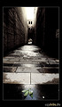 Lasciate ogni speranza, voi ch&#039;entrate (&quot;    &quot; --    )