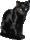 ,    .