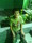 it is me