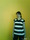 it is me