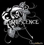  (IV): Evanescence