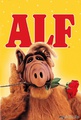 /Alf (4 )