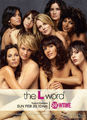    /The L Word (6 )