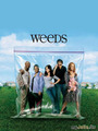 /Weeds (5)