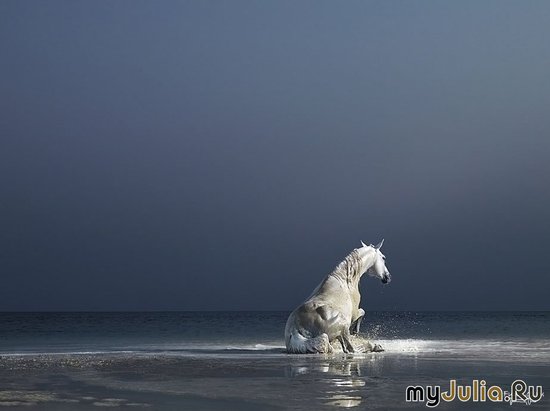  Tim Flach