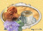 marina45-