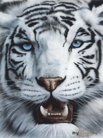 Встречаем год металлического тигра в богатстве роскоши и буйстве красок