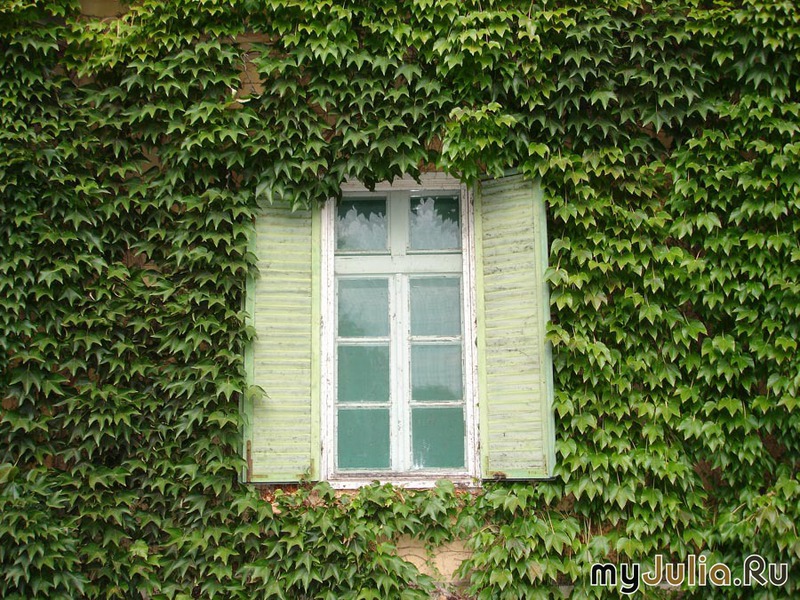 http://www.myjulia.ru/data/cache/2010/04/04/383661_8072-0x600.jpg