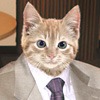 Заложницы моды