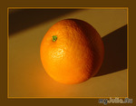... orange dor&#233;