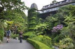 Wellington Botanic Garden.