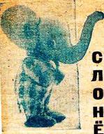 Слонёнок.