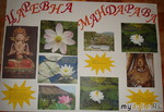  &quot; &quot; ( )