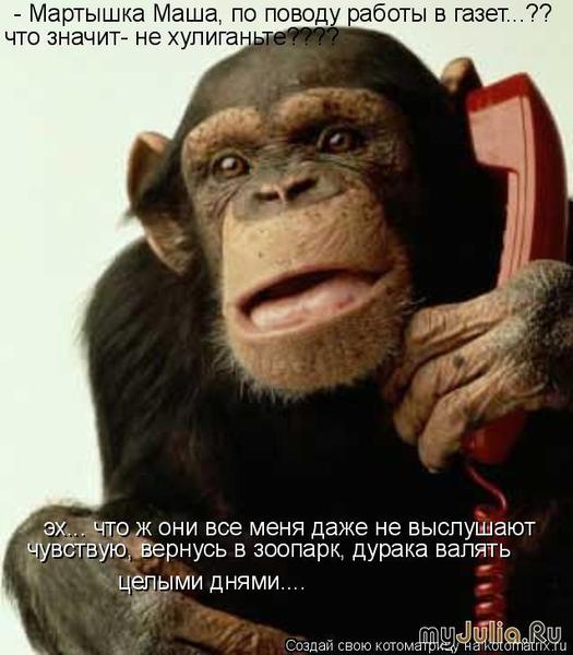 Пять тысяч шутников раскалили телефон дублинского зоопарка. Пять тысяч шутников раскалили телефон дублинского зоопарка.