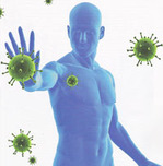 Что такое иммунитет?