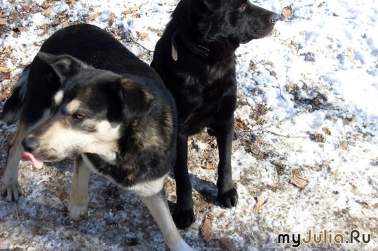 ���� � ����.