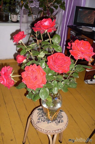 ����  �  ����