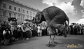 Слоны на площади