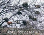 1  -   