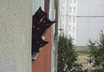   ))))