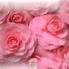 ,  ? (   sweet - 2 )
