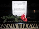 Mozart Sonata.