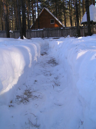 ������ ����