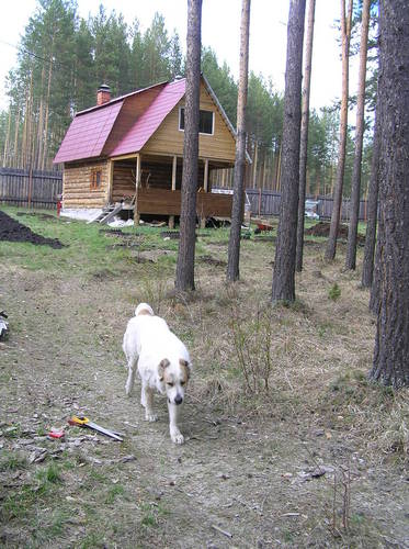 �������