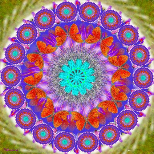 Mandala &quot;&quot;