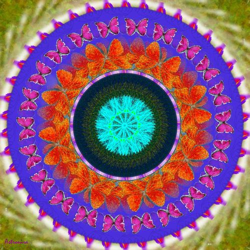 Mandala &quot;&quot;