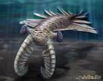 Anomalocaris       