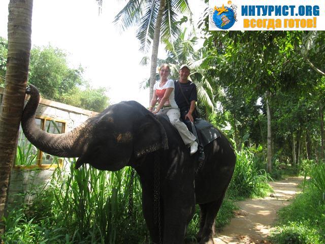 Shri-Lanka