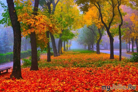 Осень