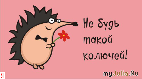 Не будь колючкой открытка Не будь колючкой открытка