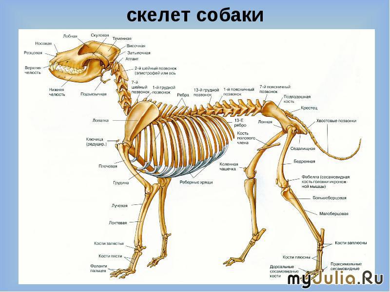 http://www.myjulia.ru/data/cache/2014/12/05/1318480_9626-0x600.jpg