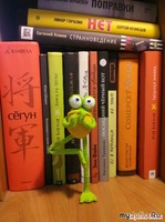  Frog. 