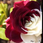 Как выглядеть моложе