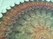        ,  6/1 180  (  ),      176  ( ).    4,5 100 .     107 ,   228 .