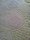        ,  6/1 180  (  ),      176  ( ).    4,5 100 .     107 ,   228 .