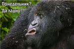   smv_mars
